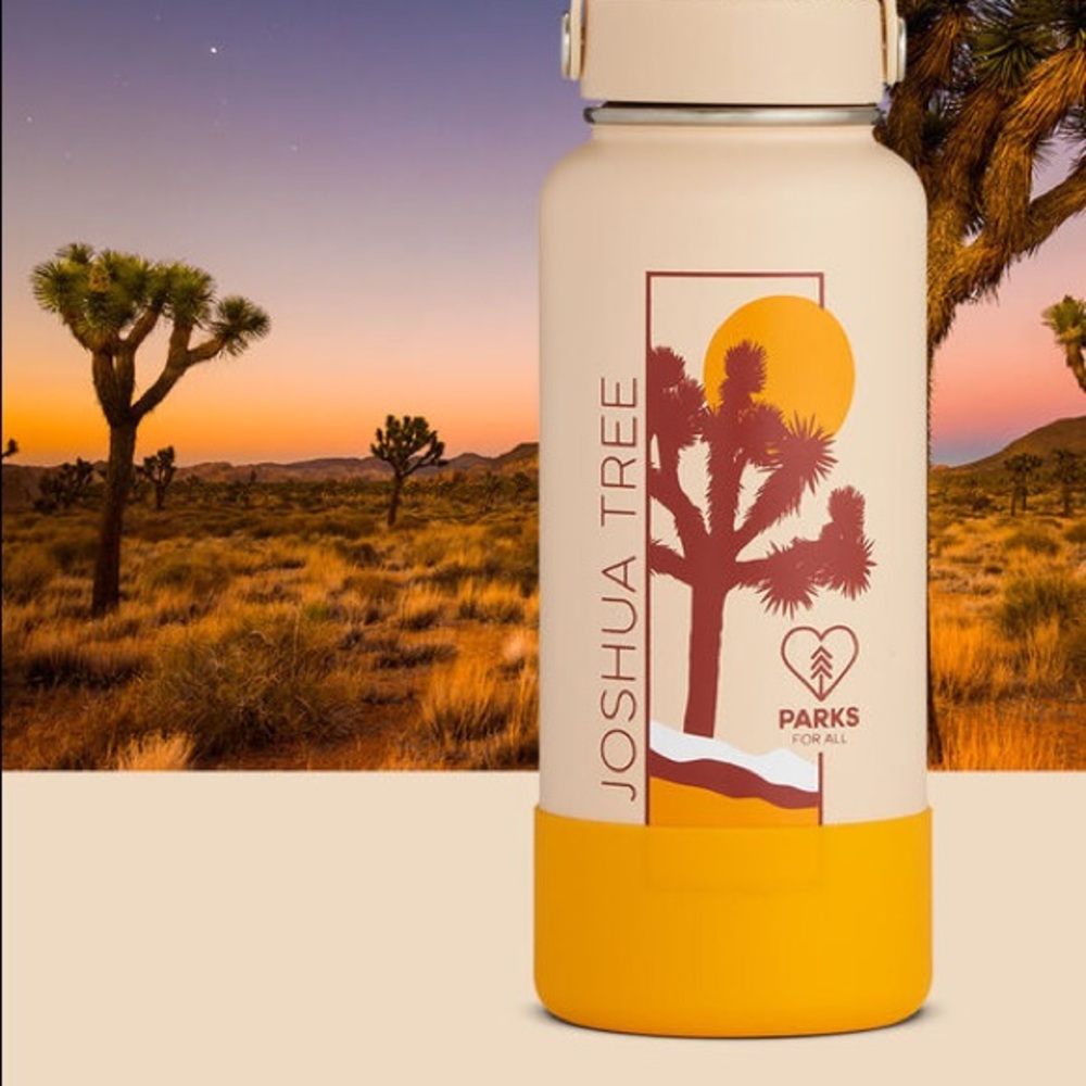 ISO Joshua Tree Hydro Flask